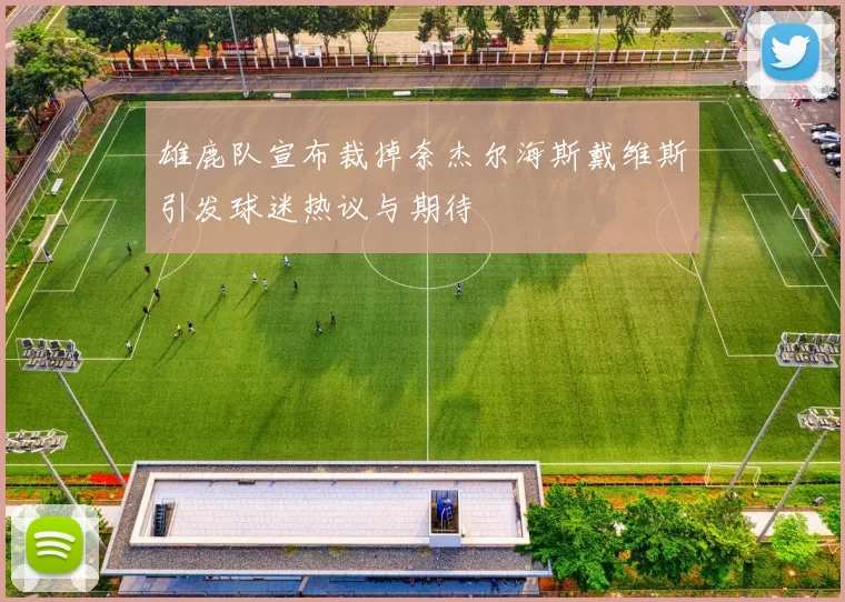雄鹿队宣布裁掉奈杰尔海斯戴维斯引发球迷热议与期待