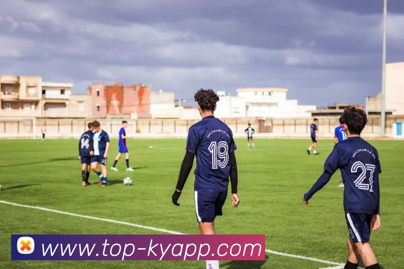 开云体育平台生态图